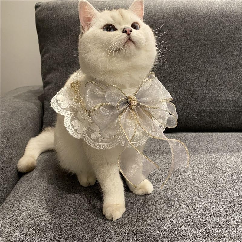 Amazon | MuQianGan 猫首輪 犬首輪 リボン かわいい首輪 宮廷風です 猫